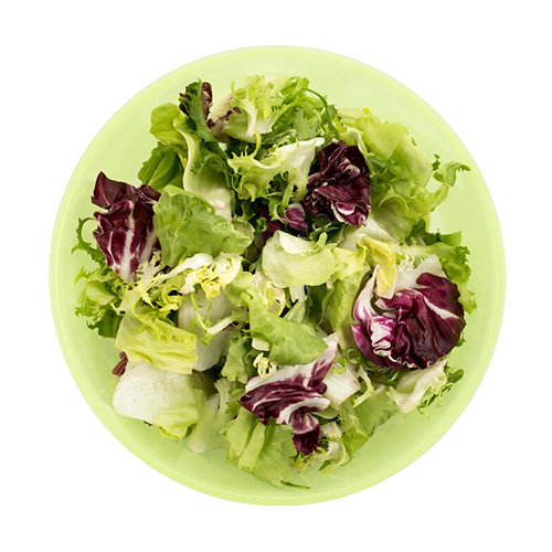 Veg Salad